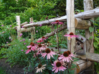 Jardins Passions Pierre Levert photo 5